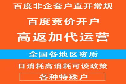 百度SEO推广公司案例分享：实战经验谈